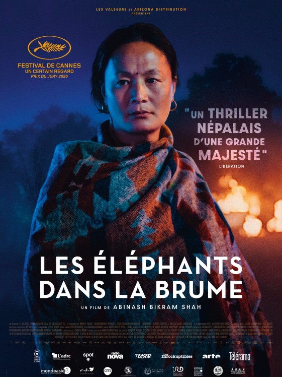 LES ÉLÉPHANTS DANS LA BRUME