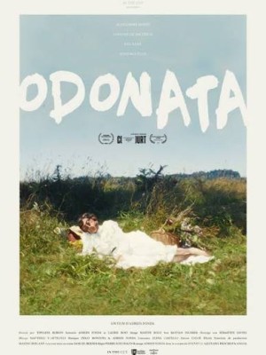 ODONATA