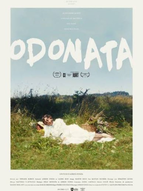 ODONATA